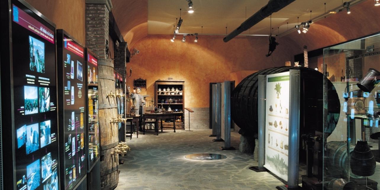 Centro temático del Vino Villa Lucía Centro temático del Vino Villa Lucía