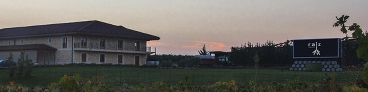 Bodegas Raiz Bodegas Raiz