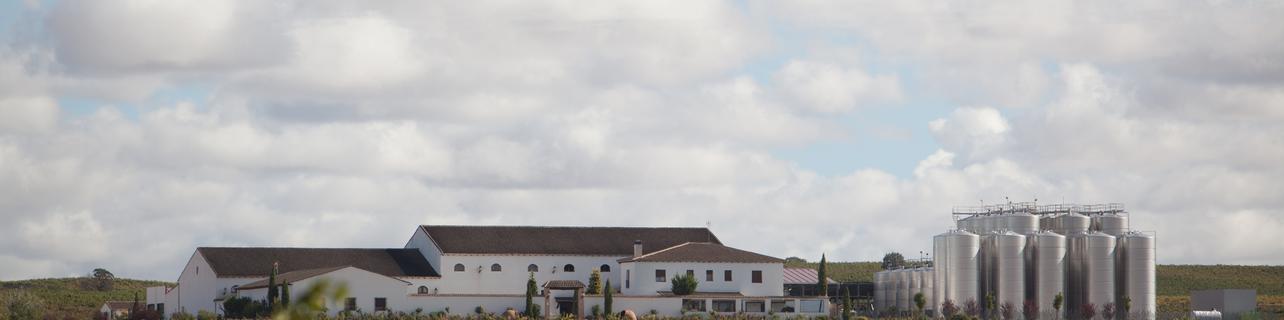 Bodegas Finca Venta de Don Quijote Bodegas Finca Venta de Don Quijote