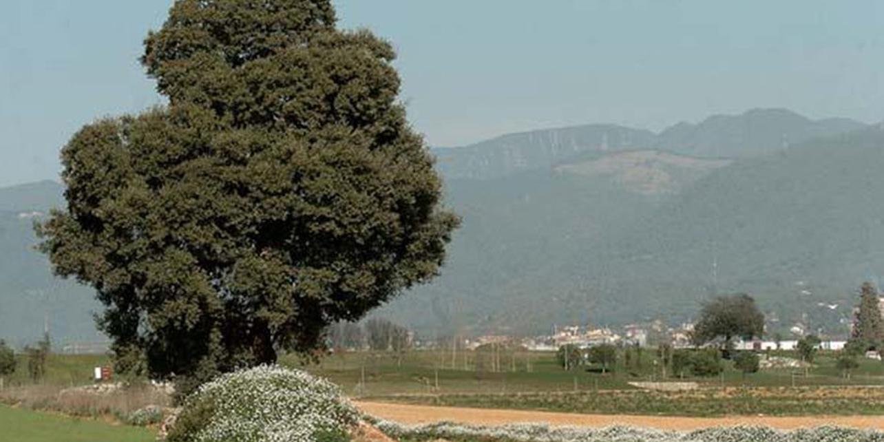 Campo de aviación de Rosanes Campo de aviación de Rosanes