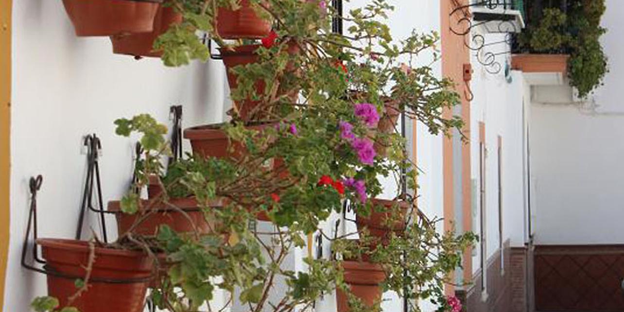 Barrio de la Morería Barrio de la Morería