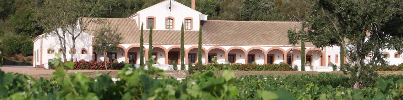 Bodega Dehesa del Carrizal Bodega Dehesa del Carrizal
