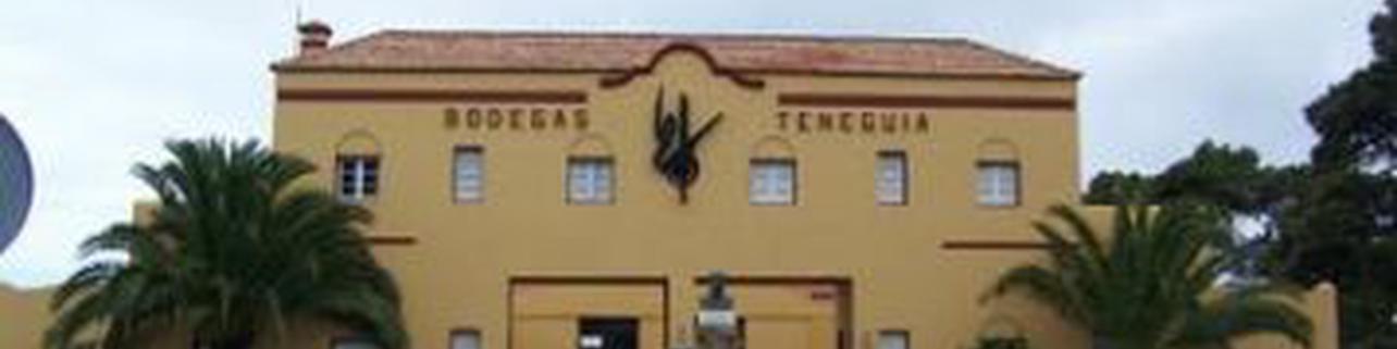 Bodegas Teneguía Bodegas Teneguía