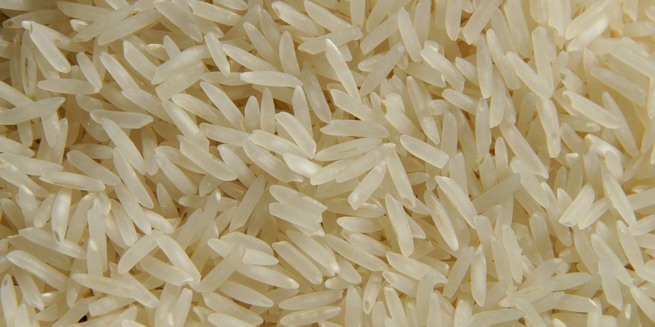 Museo del Arroz Museo del Arroz