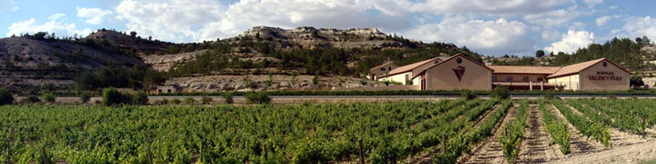 Bodegas Valdeviñas Bodegas Valdeviñas