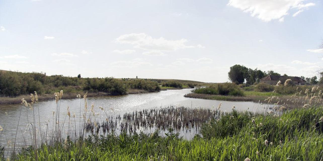 Parque nacional de las Tablas de Daimiel Parque nacional de las Tablas de Daimiel