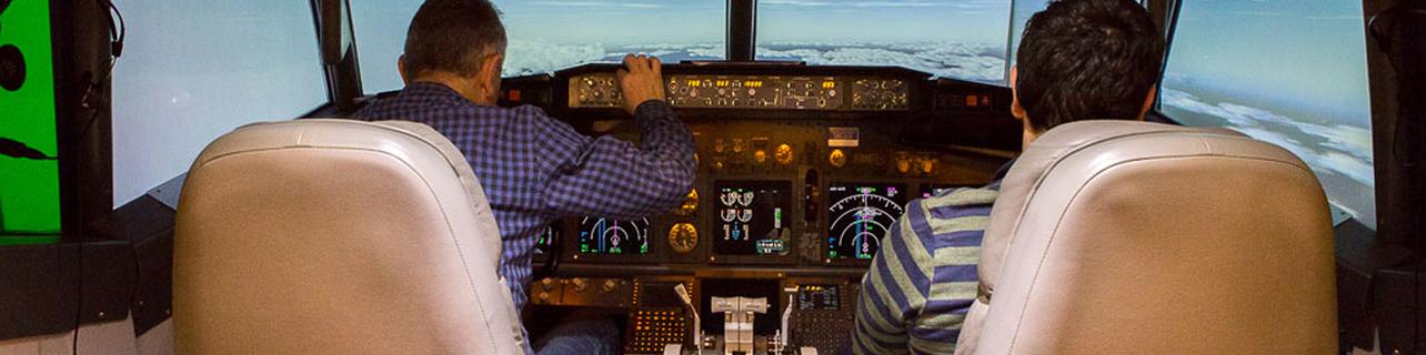 Pilotar una avioneta sin despegar Pilotar una avioneta sin despegar