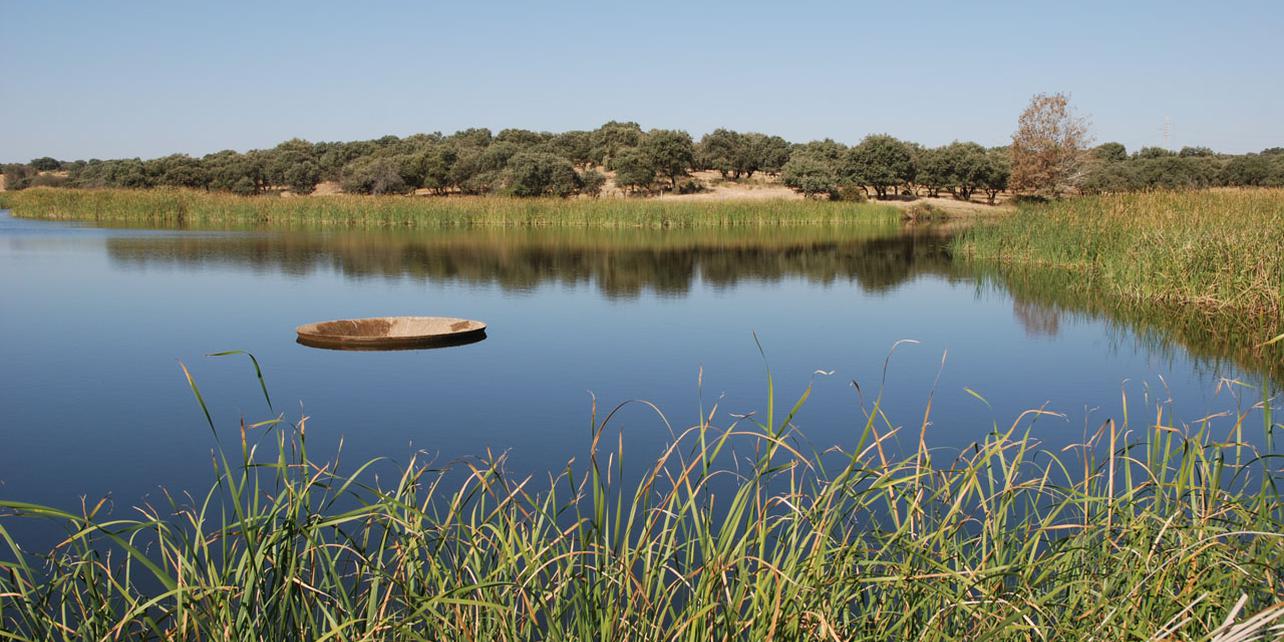 Parque Ornitológico de Arrocampo Parque Ornitológico de Arrocampo