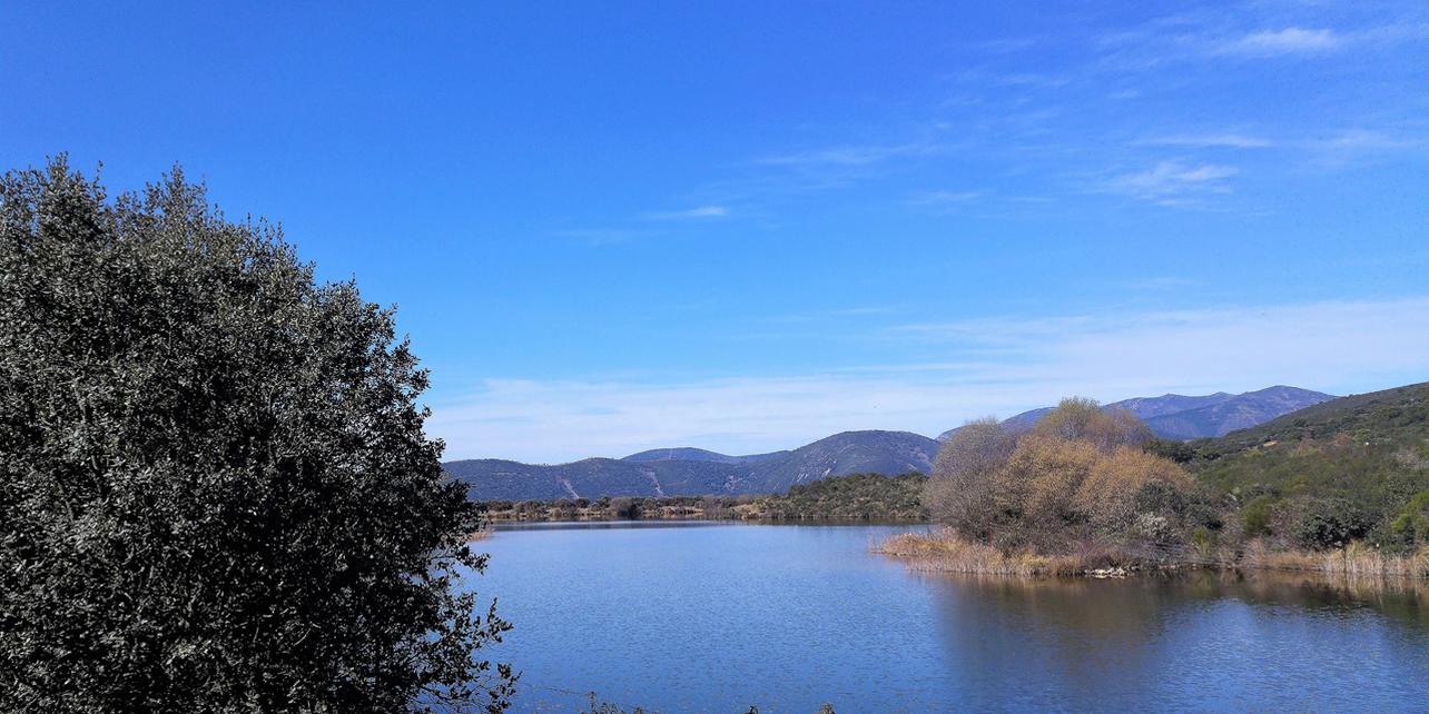 Pantano de los Reales Pantano de los Reales