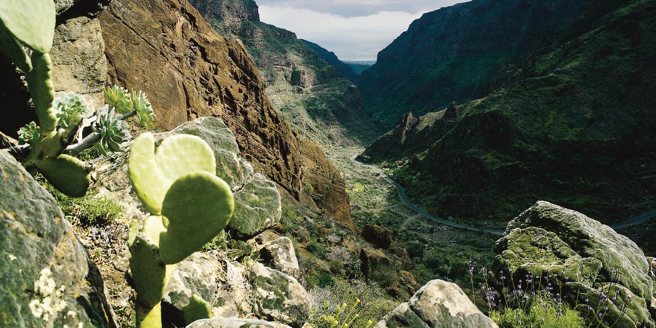 Monumento Natural del Barranco de Guayadeque Monumento Natural del Barranco de Guayadeque