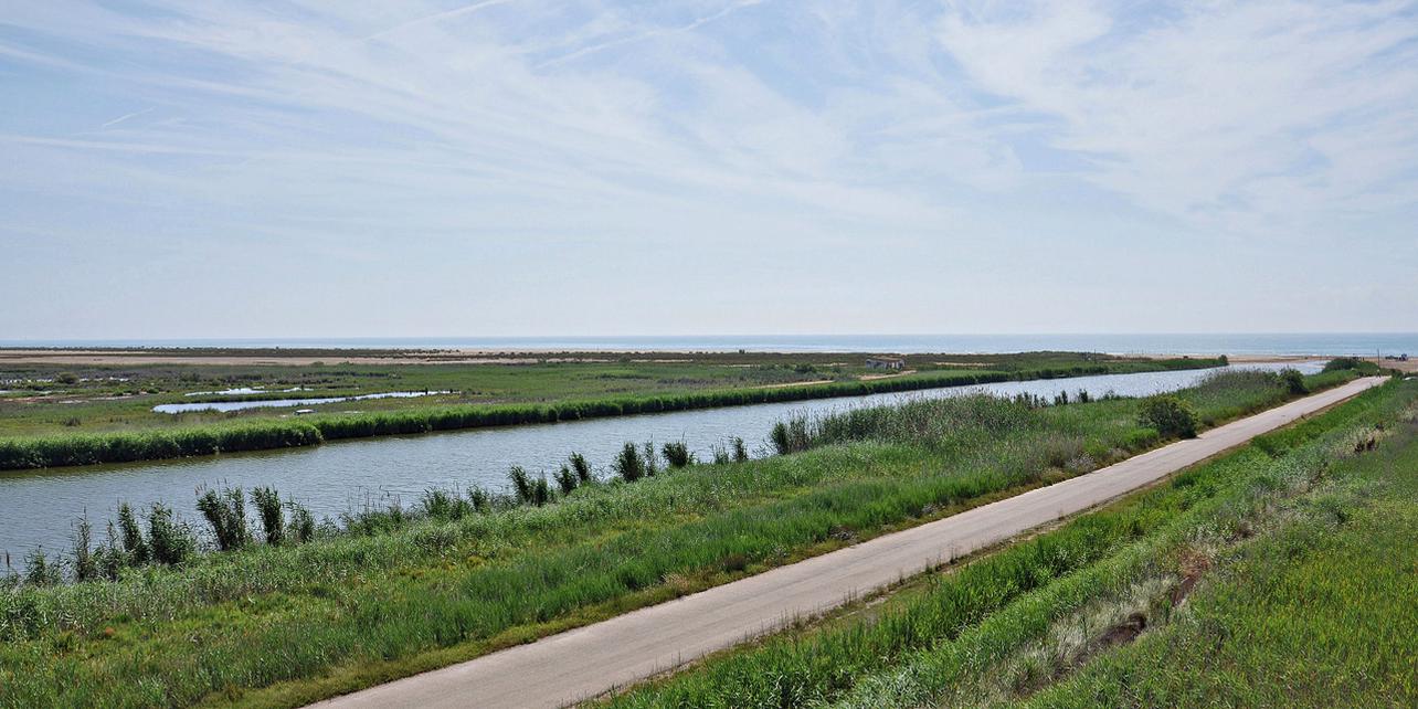 Parque Natural Delta del Ebro Parque Natural Delta del Ebro