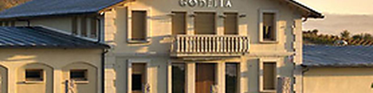 Bodegas Godelia S.L. Bodegas Godelia S.L.