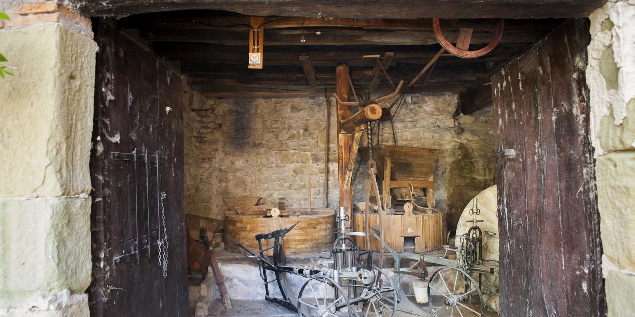 Molino de la Calvaria Molino de la Calvaria