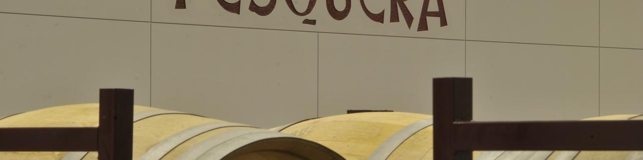 Tinto Pesquera S.L Tinto Pesquera S.L