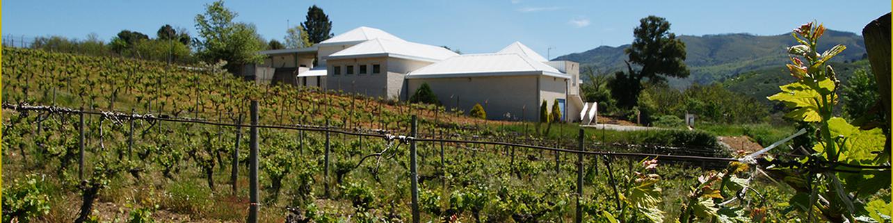 Bodega La Tapada Bodega La Tapada