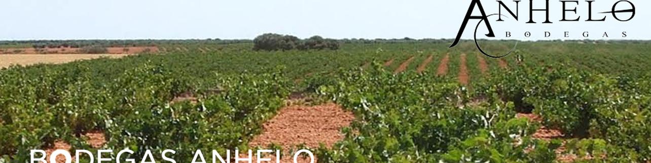 Bodegas Anhelo Bodegas Anhelo