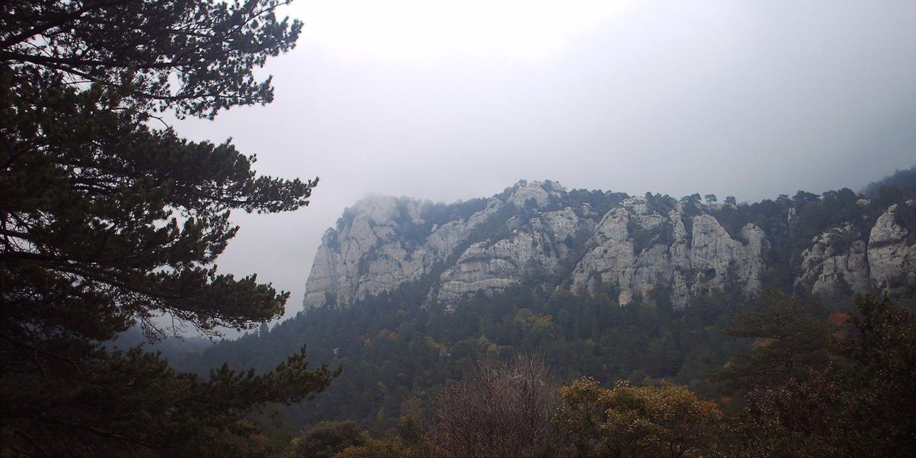 Monte l'Albea Monte l'Albea