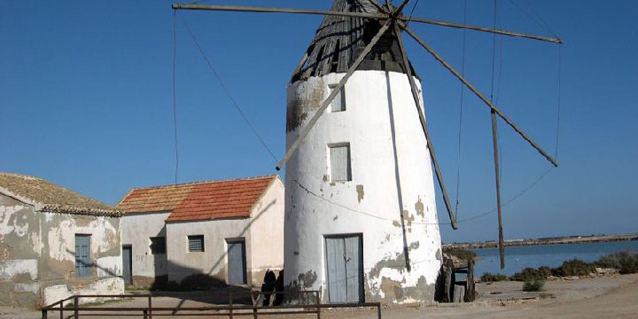 Molinos de viento Molinos de viento