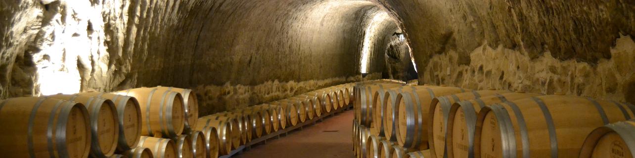 Bodegas y Viñedos Carlos Moro Bodegas y Viñedos Carlos Moro