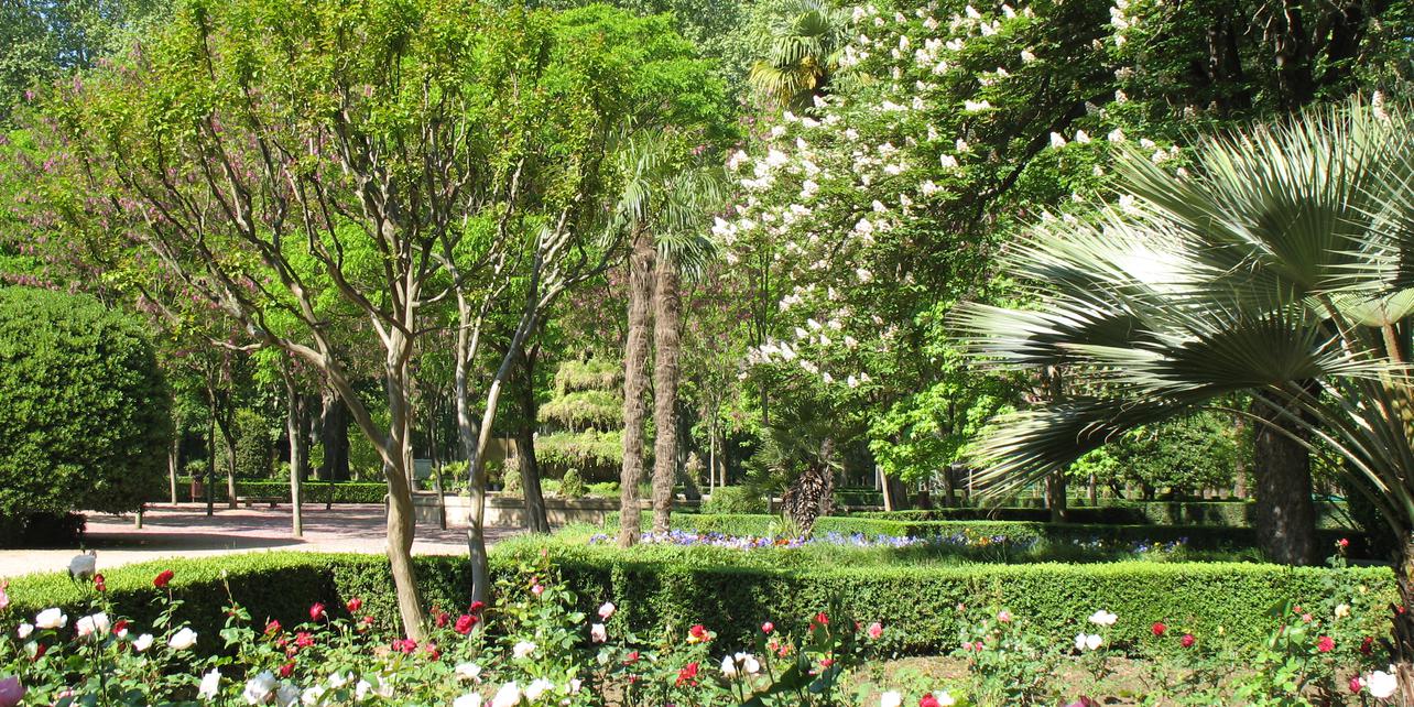 Parque de la Dehesa Parque de la Dehesa