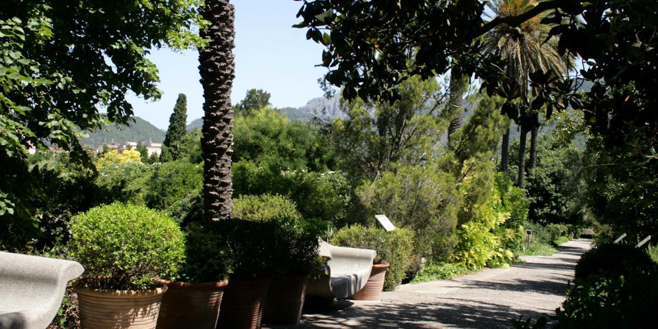 Museo de Ciencias Naturales y Jardín Botánico de Sóller Museo de Ciencias Naturales y Jardín Botánico de Sóller