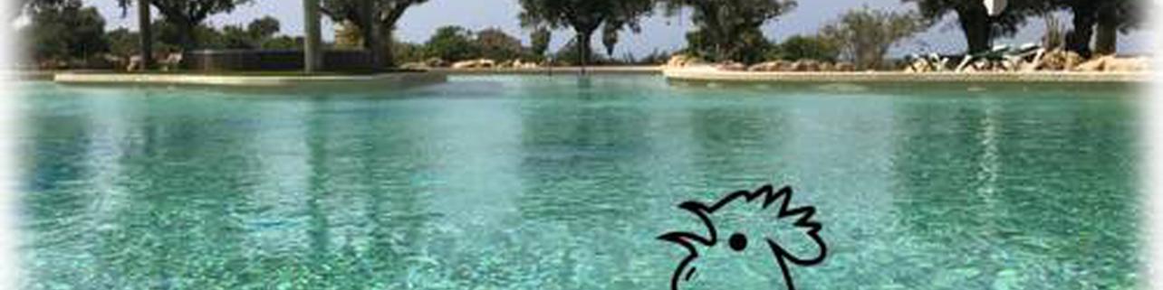 Agroturismo Es Gallicant Agroturismo Es Gallicant