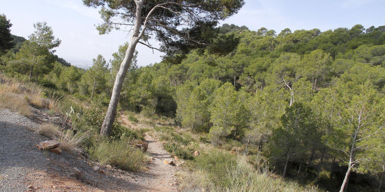Paraje Natural La Costera Paraje Natural La Costera