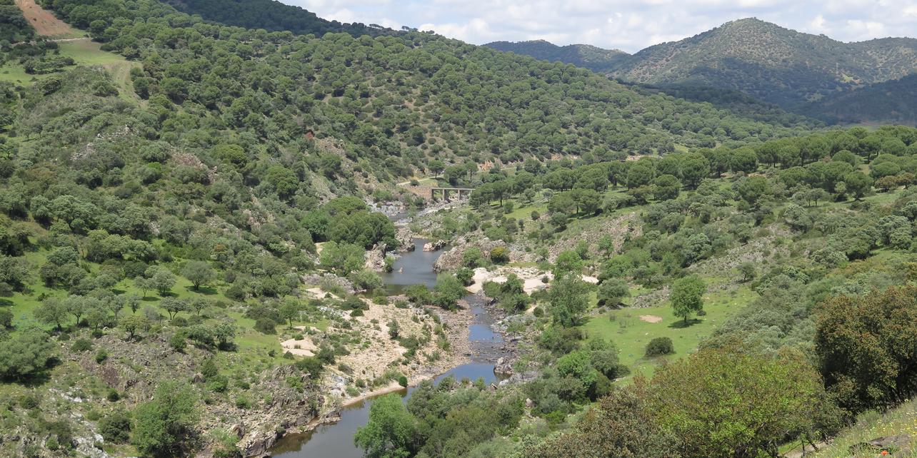 Parque Natural Sierra de Andújar Parque Natural Sierra de Andújar