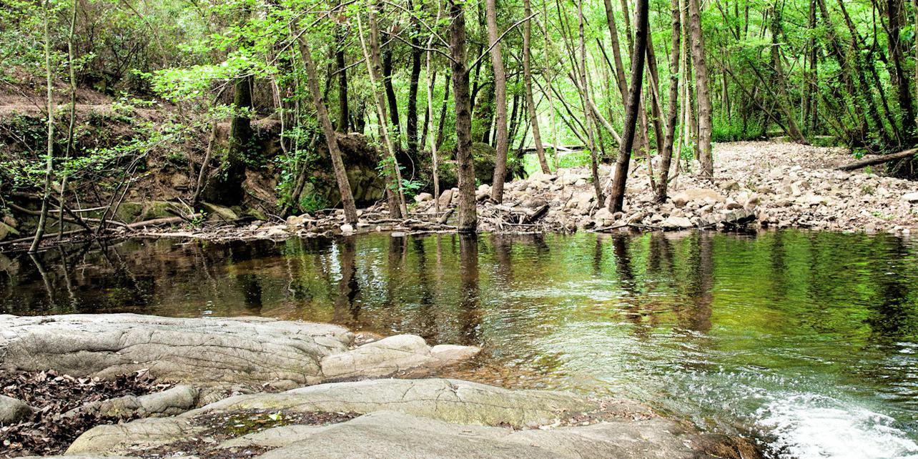 Parque natural del Montseny Parque natural del Montseny