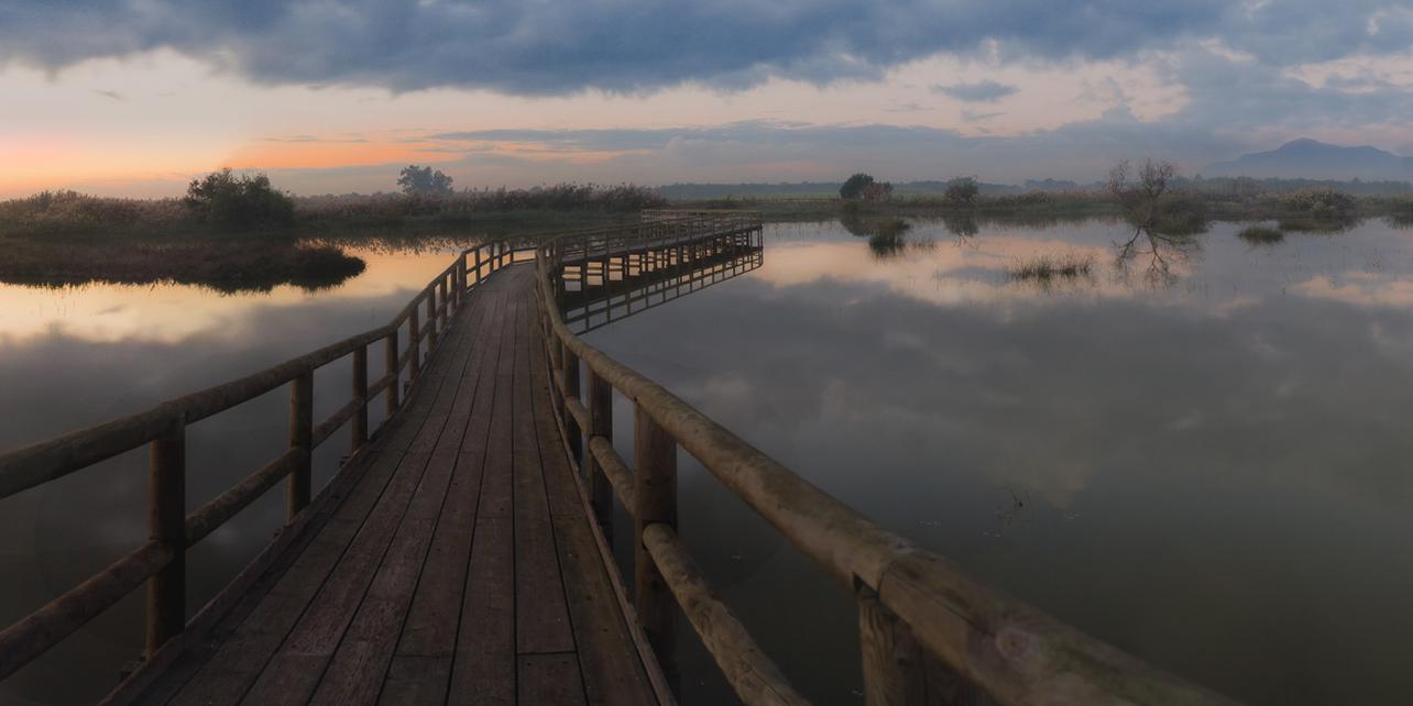 Parque Natural de El Hondo Parque Natural de El Hondo