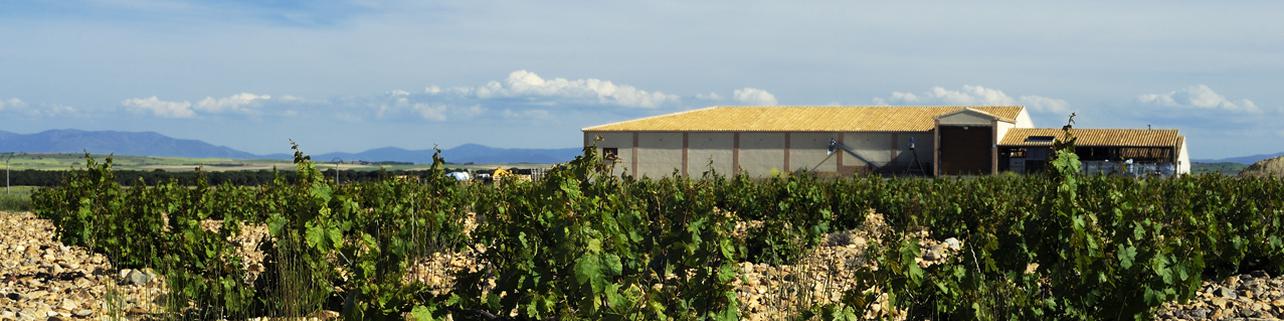 Bodegas y Viñedos Shaya S.L Bodegas y Viñedos Shaya S.L
