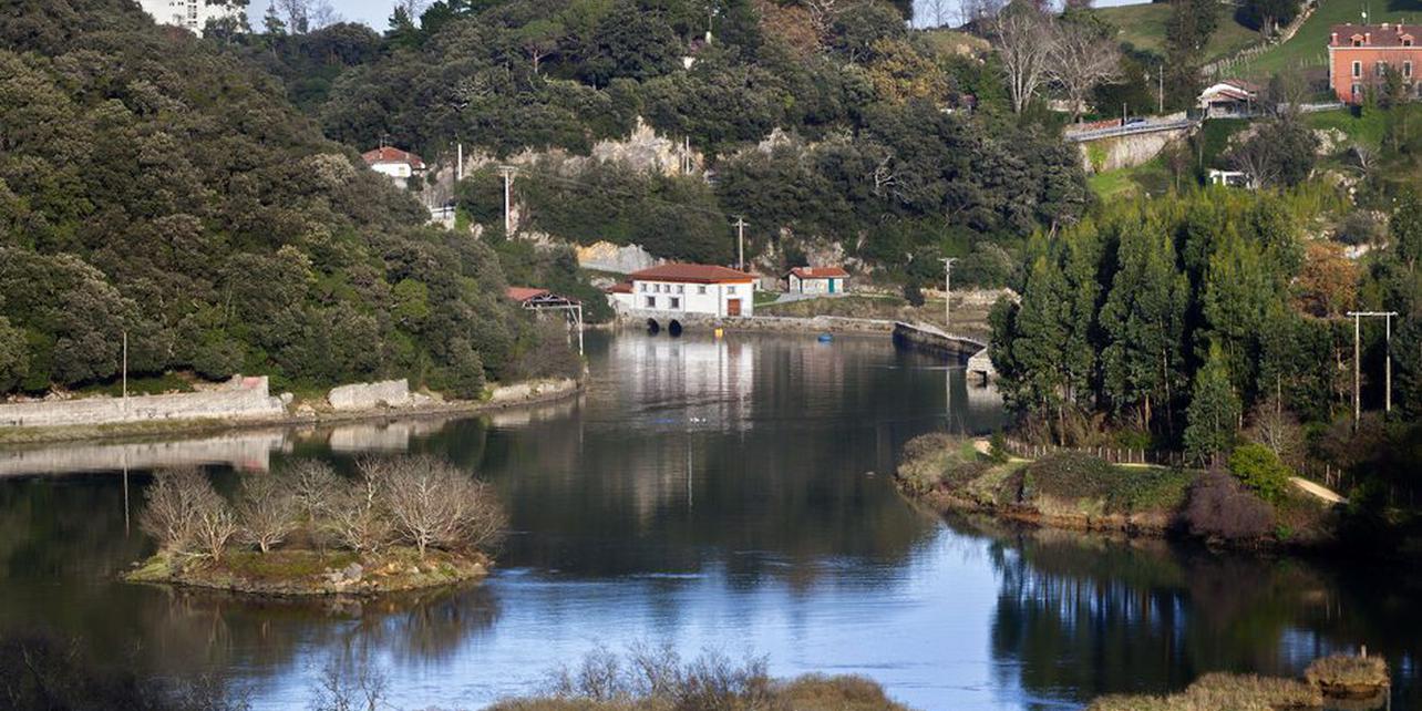 Marismas del río Lea Marismas del río Lea