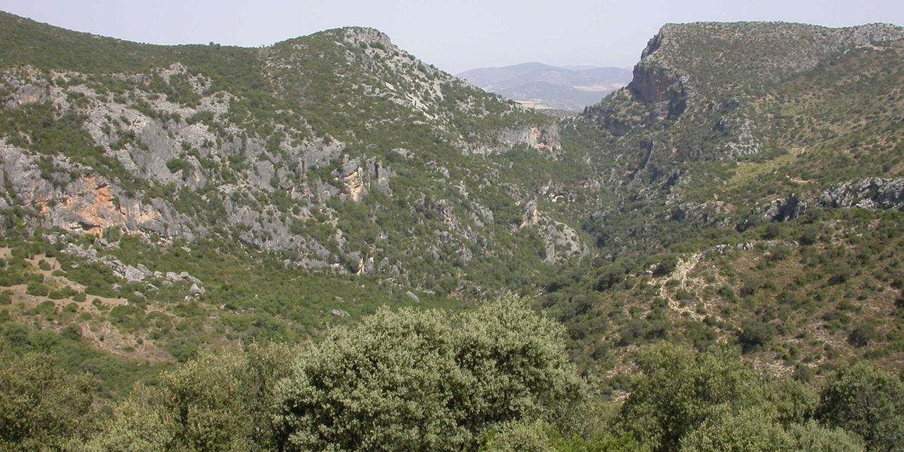 Parque Natural Sierra de Grazalema Parque Natural Sierra de Grazalema