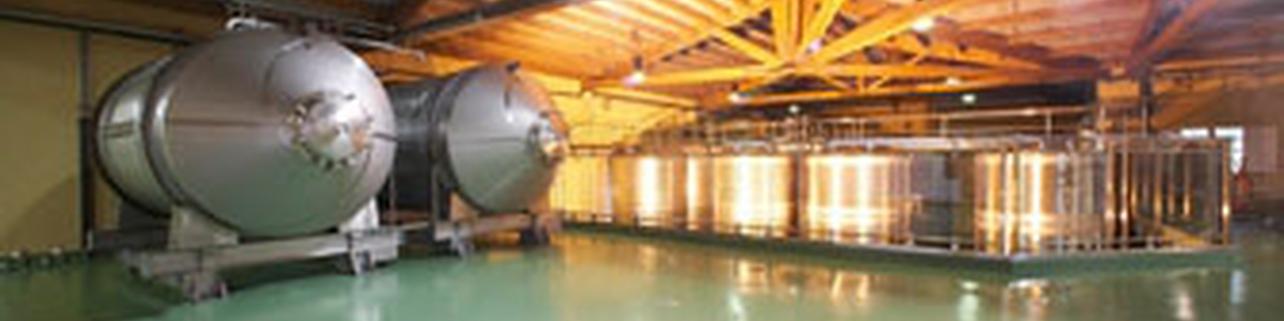 Valdamor S.A. Valdamor S.A.
