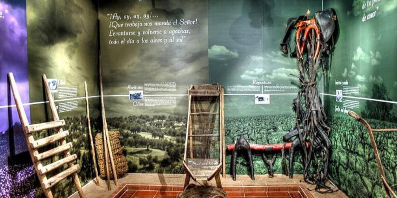 Museo La Rosa del Azafrán Museo La Rosa del Azafrán