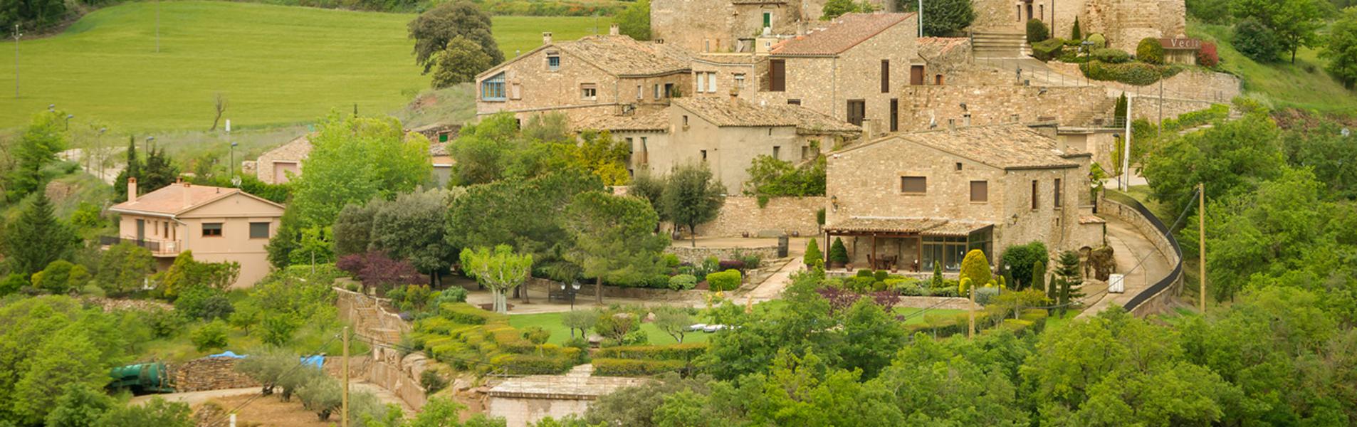 Veciana Guía Repsol