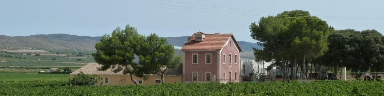 Bodegas Bernabé Navarro S.L. Bodegas Bernabé Navarro S.L.