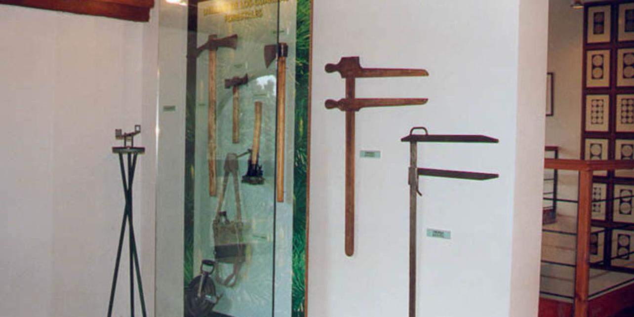Museo Forestal Museo Forestal
