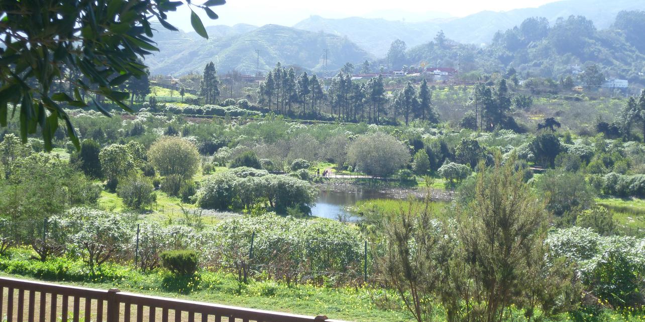 Área recreativa La Laguna Área recreativa La Laguna