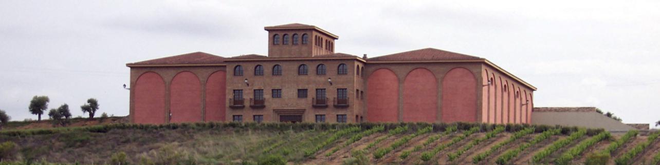 Bodega Pago Aylés Bodega Pago Aylés