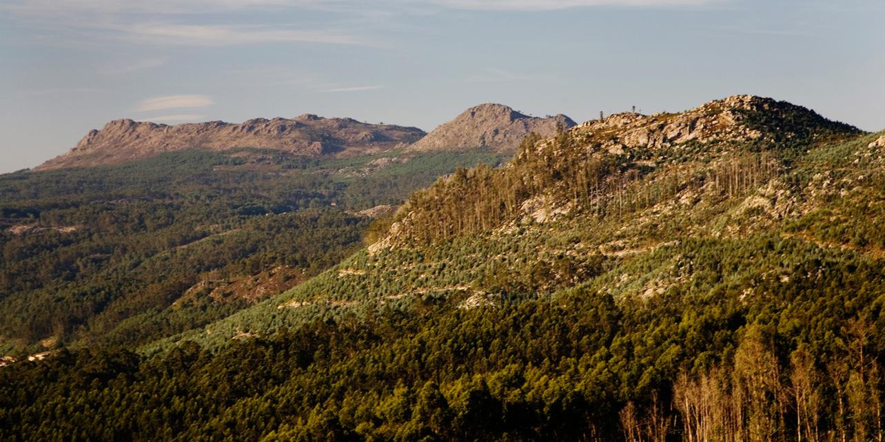 Monte A Groba Monte A Groba