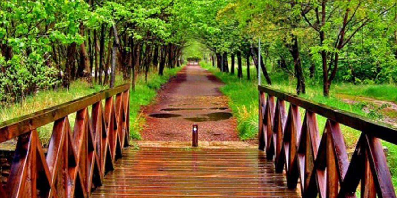 Vía Verde del Cidacos Vía Verde del Cidacos