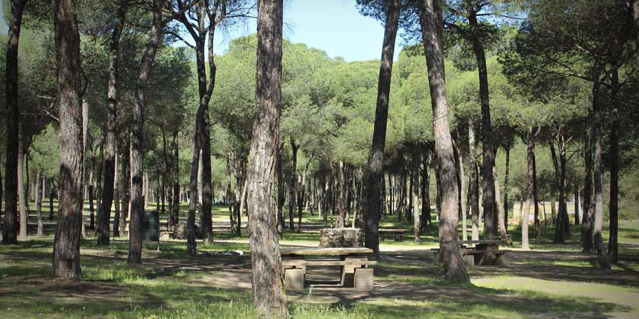 Paraje Natural “El Corchito” Paraje Natural “El Corchito”