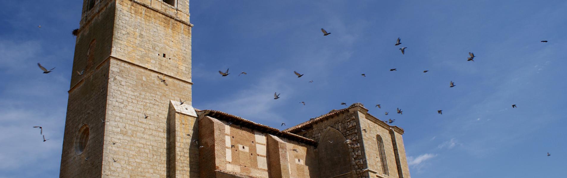 Baquerín de Campos Guía Repsol