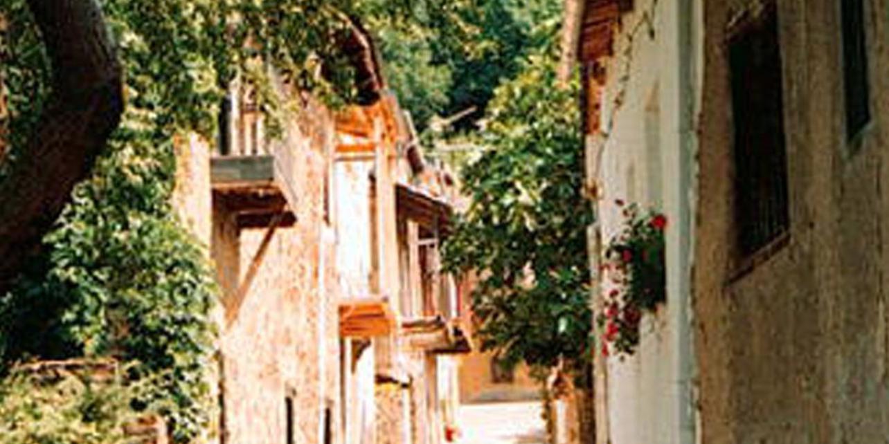 Calle Real Calle Real