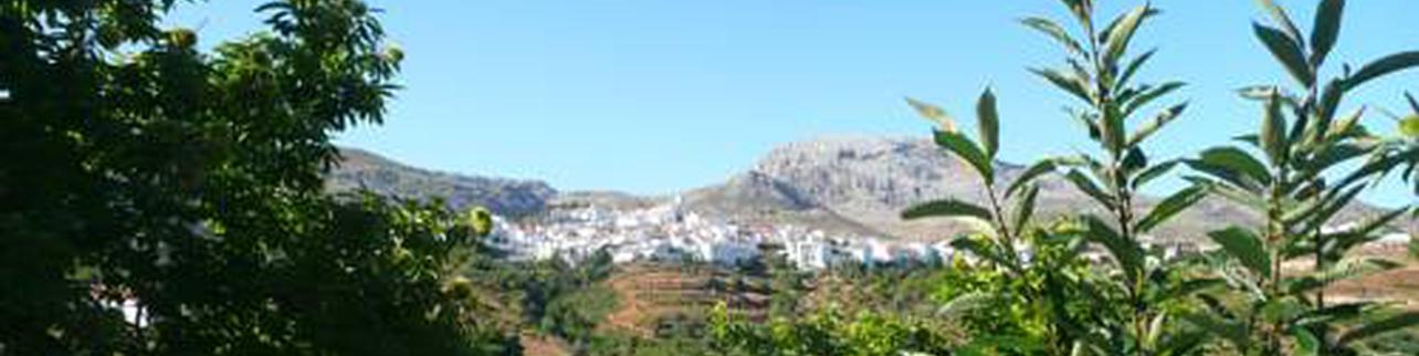 Los Castaños Los Castaños