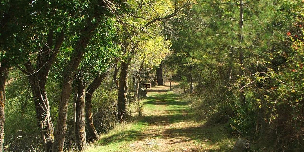 Parque Natural Sierra de Baza Parque Natural Sierra de Baza