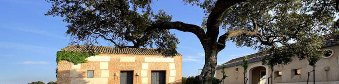 Bodegas Arrayán Bodegas Arrayán