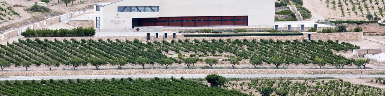 Bodegas Sierra Salinas Bodegas Sierra Salinas