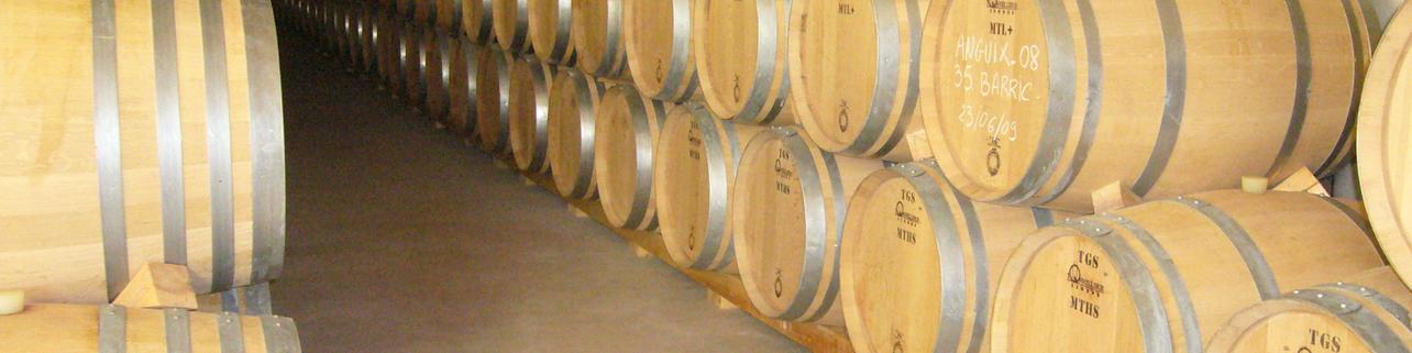 Bodegas Los Astrales Bodegas Los Astrales